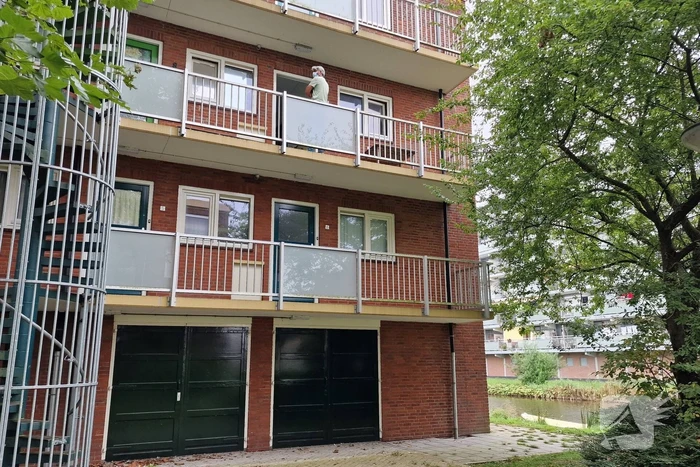 Lichaam aangetroffen in woning
