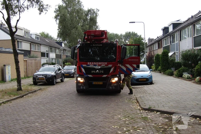 Loshangende tak dreigt te vallen