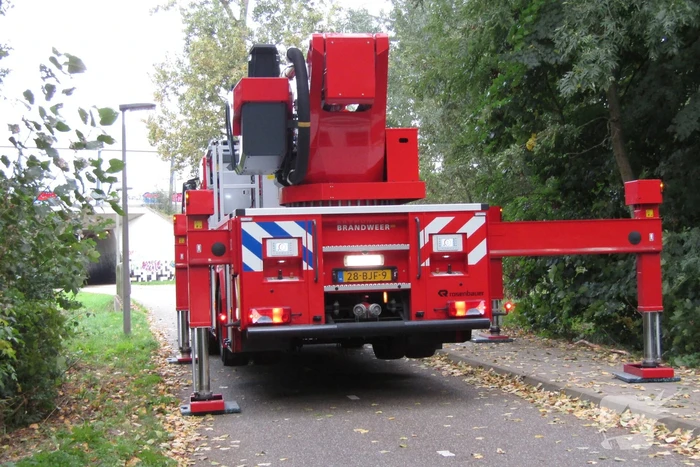 Loshangende tak dreigt te vallen