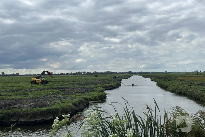 Koe belandt in sloot