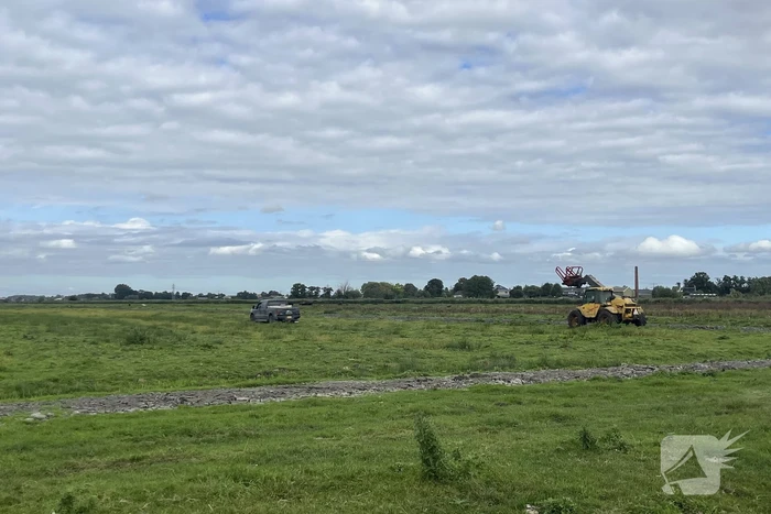 Koe belandt in sloot