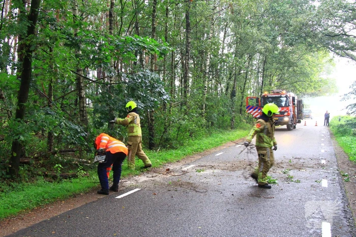 Brandweer ingezet voor omgevallen boom