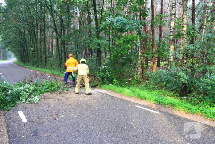 Brandweer ingezet voor omgevallen boom