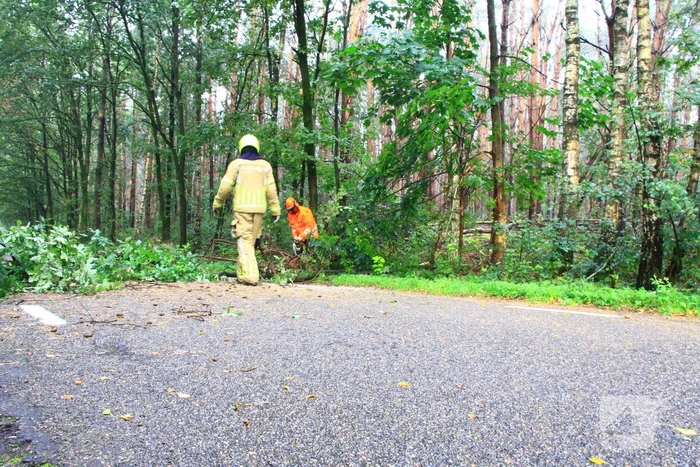 Brandweer ingezet voor omgevallen boom