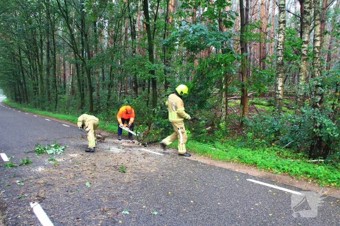 Brandweer ingezet voor omgevallen boom