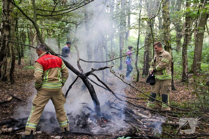Brandweer blust kampvuur in bos