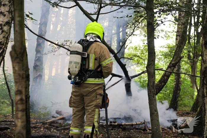 Brandweer blust kampvuur in bos