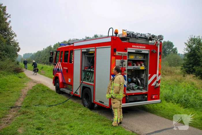 Brandweer blust kampvuur in bos