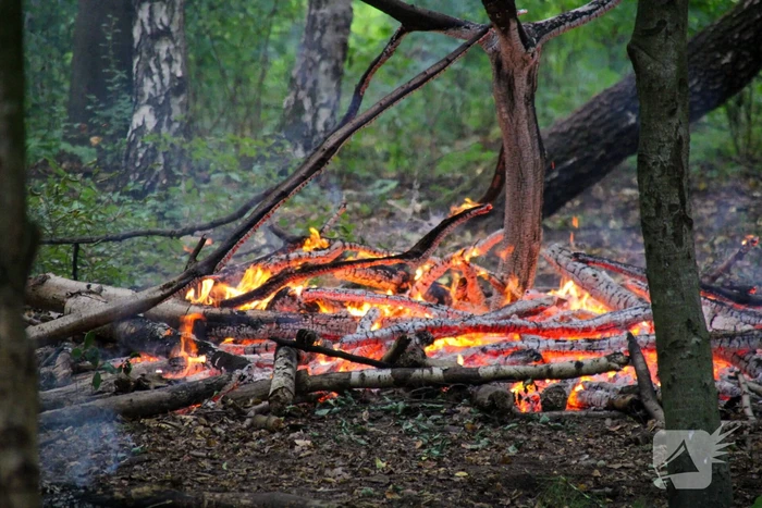 Brandweer blust kampvuur in bos
