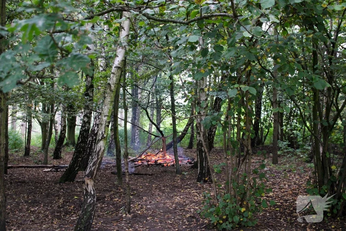 Brandweer blust kampvuur in bos