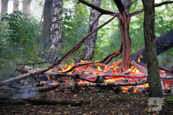 Brandweer blust kampvuur in bos