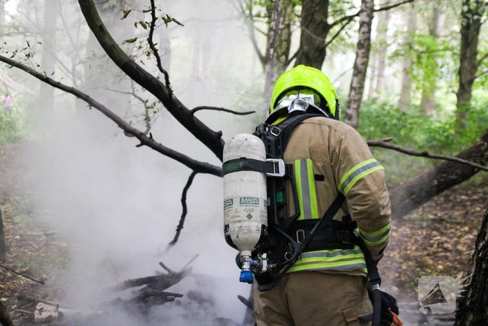 Brandweer blust kampvuur in bos