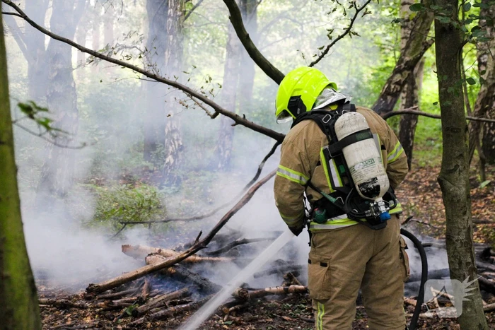 Brandweer blust kampvuur in bos