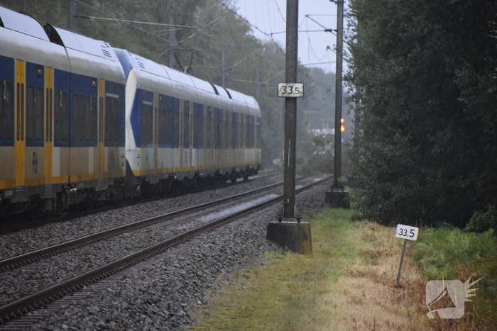 Treinverkeer gestremd door omgevallen boom