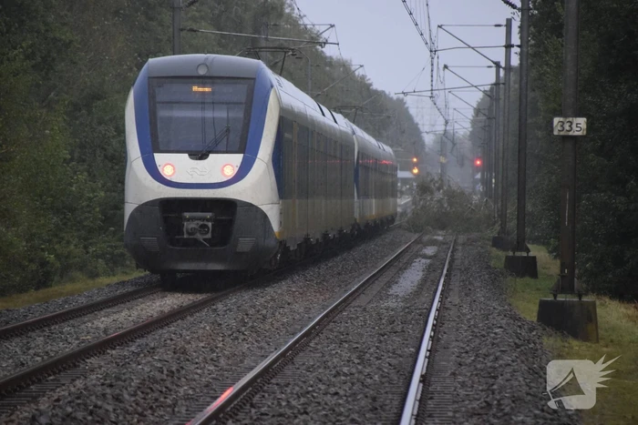 Treinverkeer gestremd door omgevallen boom