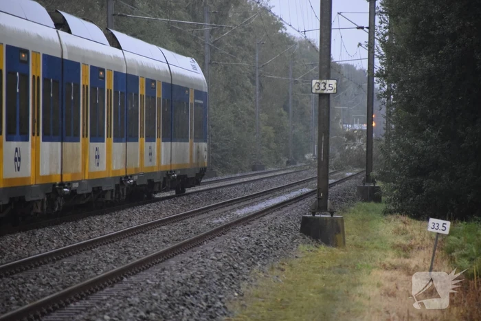 Treinverkeer gestremd door omgevallen boom
