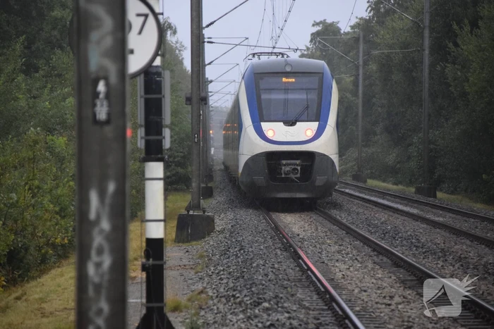 Treinverkeer gestremd door omgevallen boom