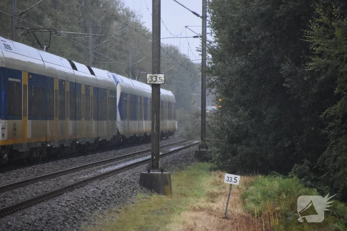 Treinverkeer gestremd door omgevallen boom