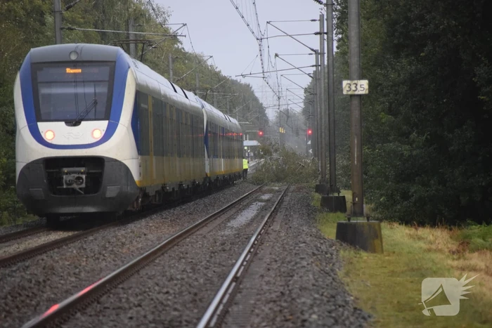 Treinverkeer gestremd door omgevallen boom