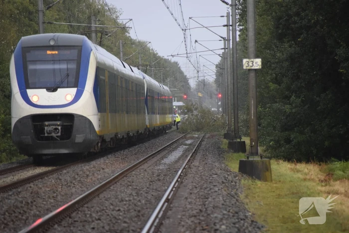 Treinverkeer gestremd door omgevallen boom