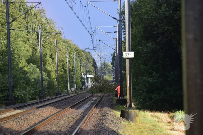 Treinverkeer gestremd door omgevallen boom