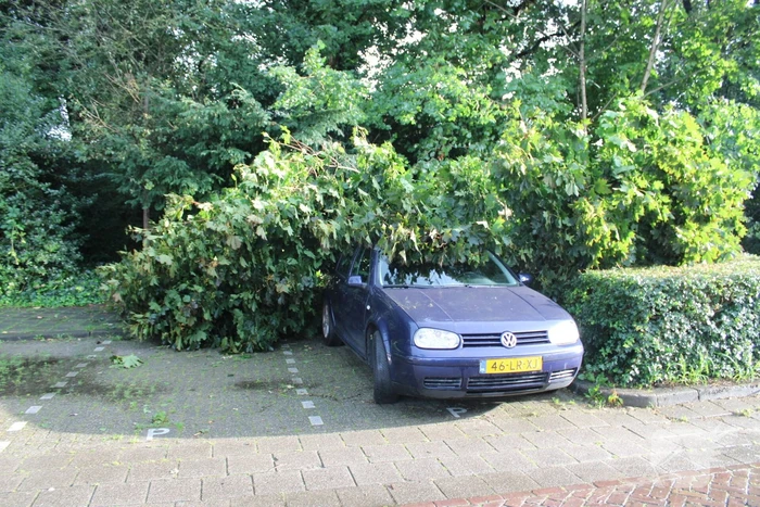 Boom splijt doormidden en valt op auto