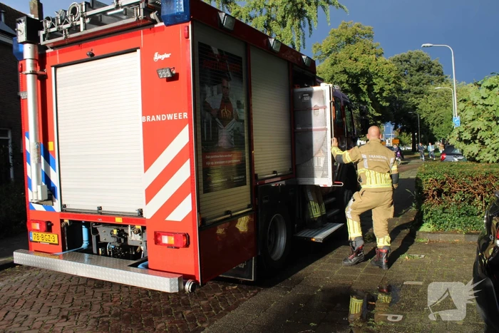 Boom splijt doormidden en valt op auto