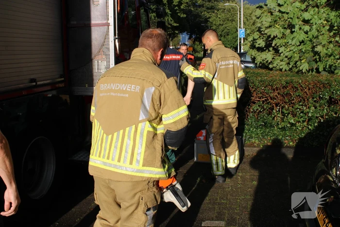 Boom splijt doormidden en valt op auto