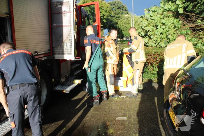 Boom splijt doormidden en valt op auto