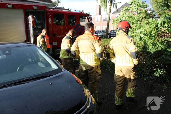 Boom splijt doormidden en valt op auto