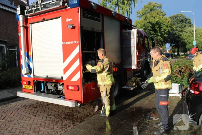 Boom splijt doormidden en valt op auto