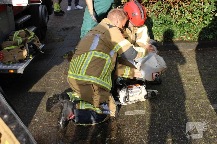 Boom splijt doormidden en valt op auto