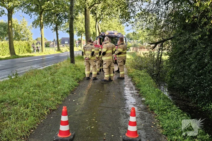 Grote tak verspert fietspad