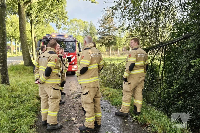 natuur lunterseweg ede