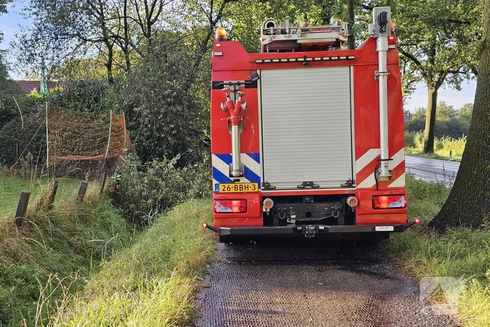 Grote tak verspert fietspad