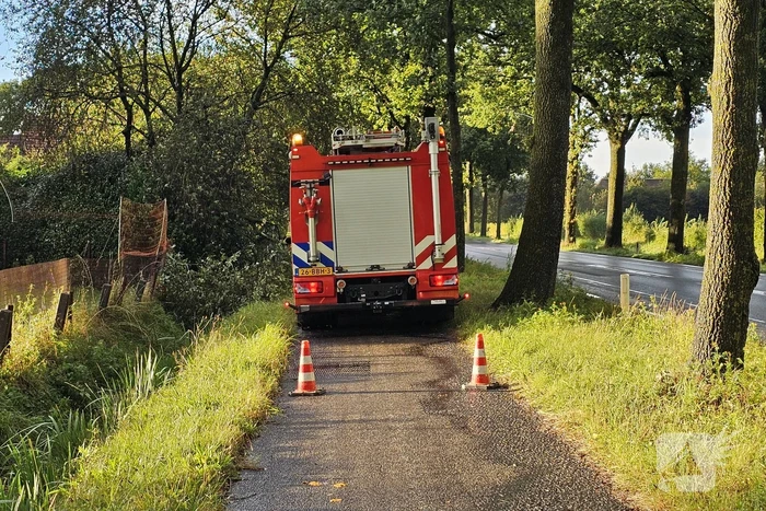 Grote tak verspert fietspad
