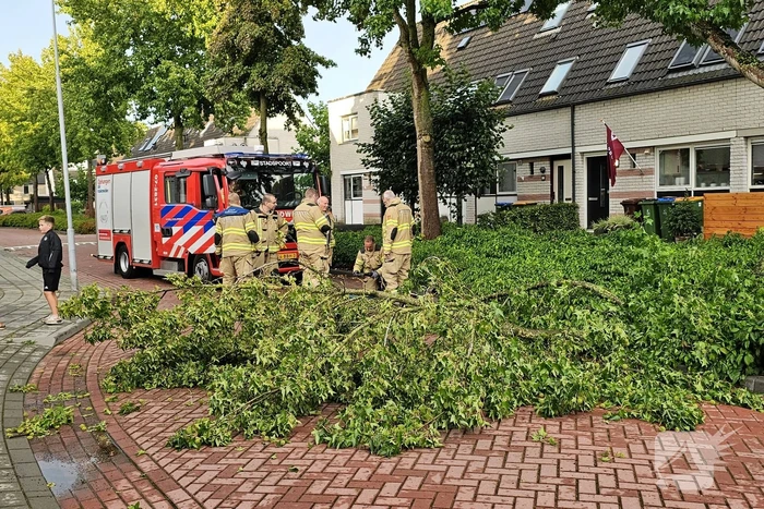 Grote tak verspert doorgang woonwijk