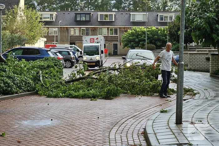 Grote tak verspert doorgang woonwijk