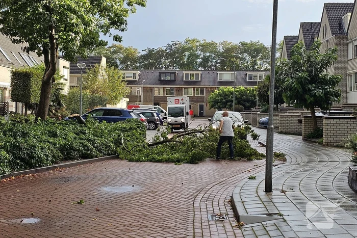 Grote tak verspert doorgang woonwijk