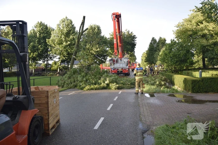 Brandweer voorkomt vallende boom