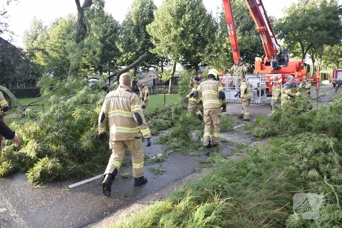 Brandweer voorkomt vallende boom