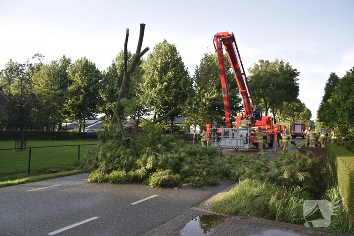 Brandweer voorkomt vallende boom