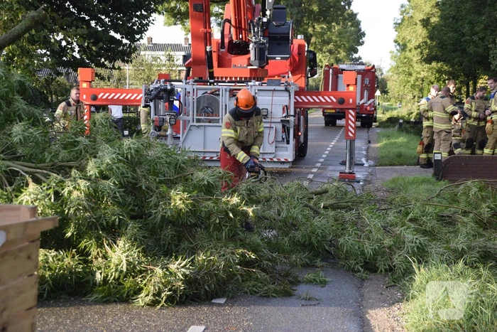 Brandweer voorkomt vallende boom