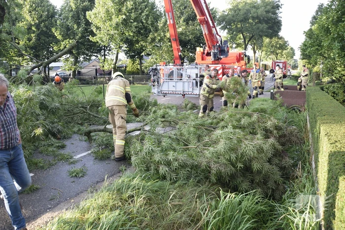 Brandweer voorkomt vallende boom