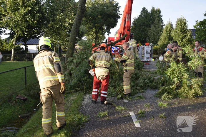 Brandweer voorkomt vallende boom