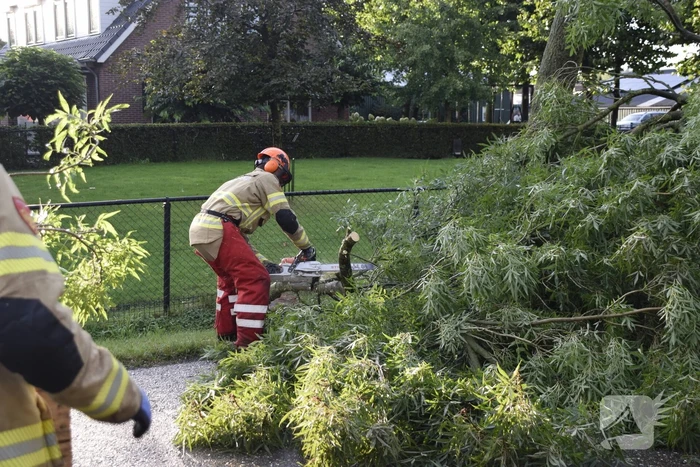 Brandweer voorkomt vallende boom