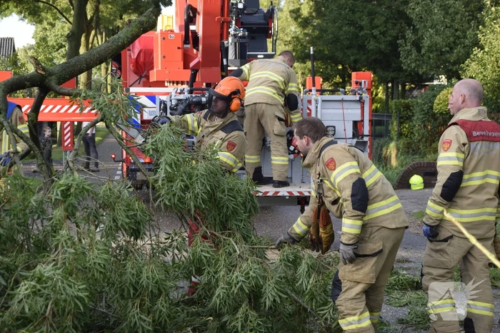 Brandweer voorkomt vallende boom