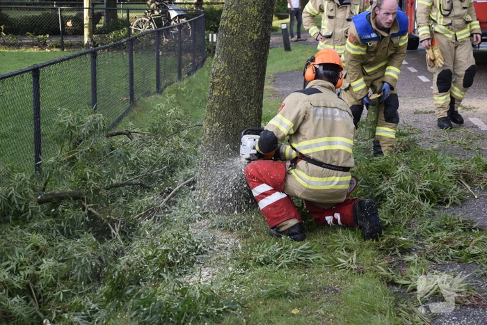 Brandweer voorkomt vallende boom