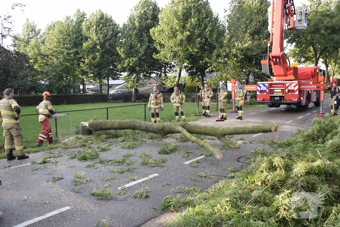 Brandweer voorkomt vallende boom