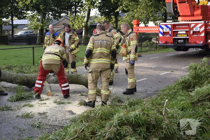 Brandweer voorkomt vallende boom